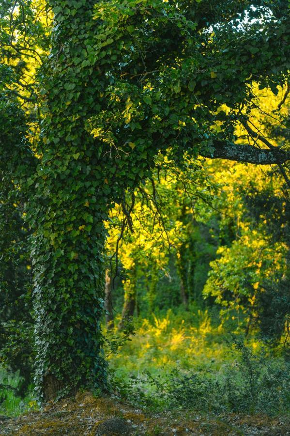 Agriturismo Cretaiole ปีเอนซา ภายนอก รูปภาพ