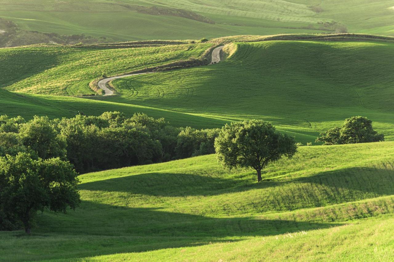 Agriturismo Cretaiole ปีเอนซา ภายนอก รูปภาพ