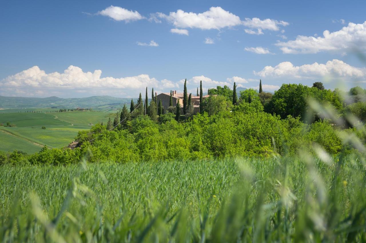 Agriturismo Cretaiole ปีเอนซา ภายนอก รูปภาพ
